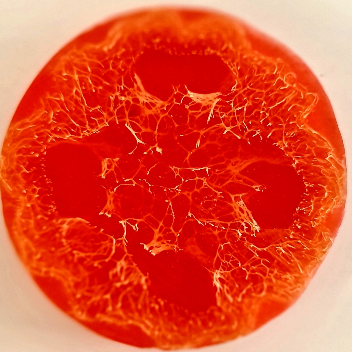 Pumpkin Fiber Istanbul Night Soap