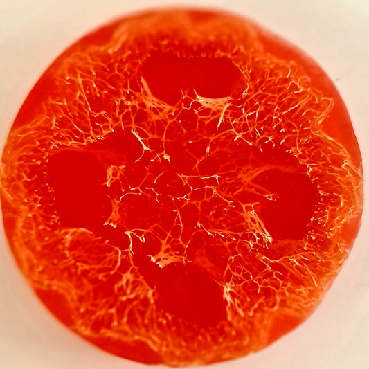 Pumpkin Fiber Istanbul Night Soap