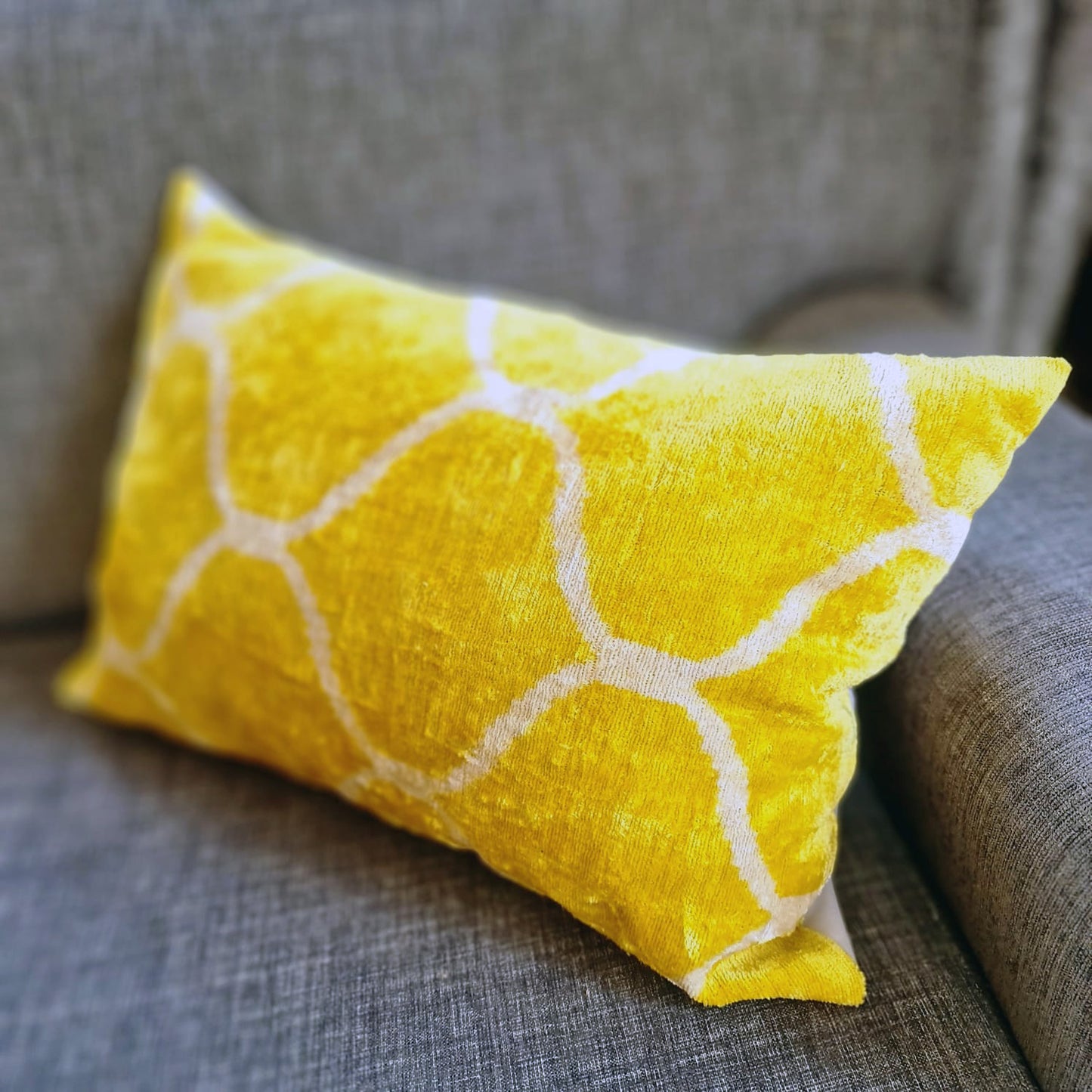 Silk Ikat Velvet Cushion Cover