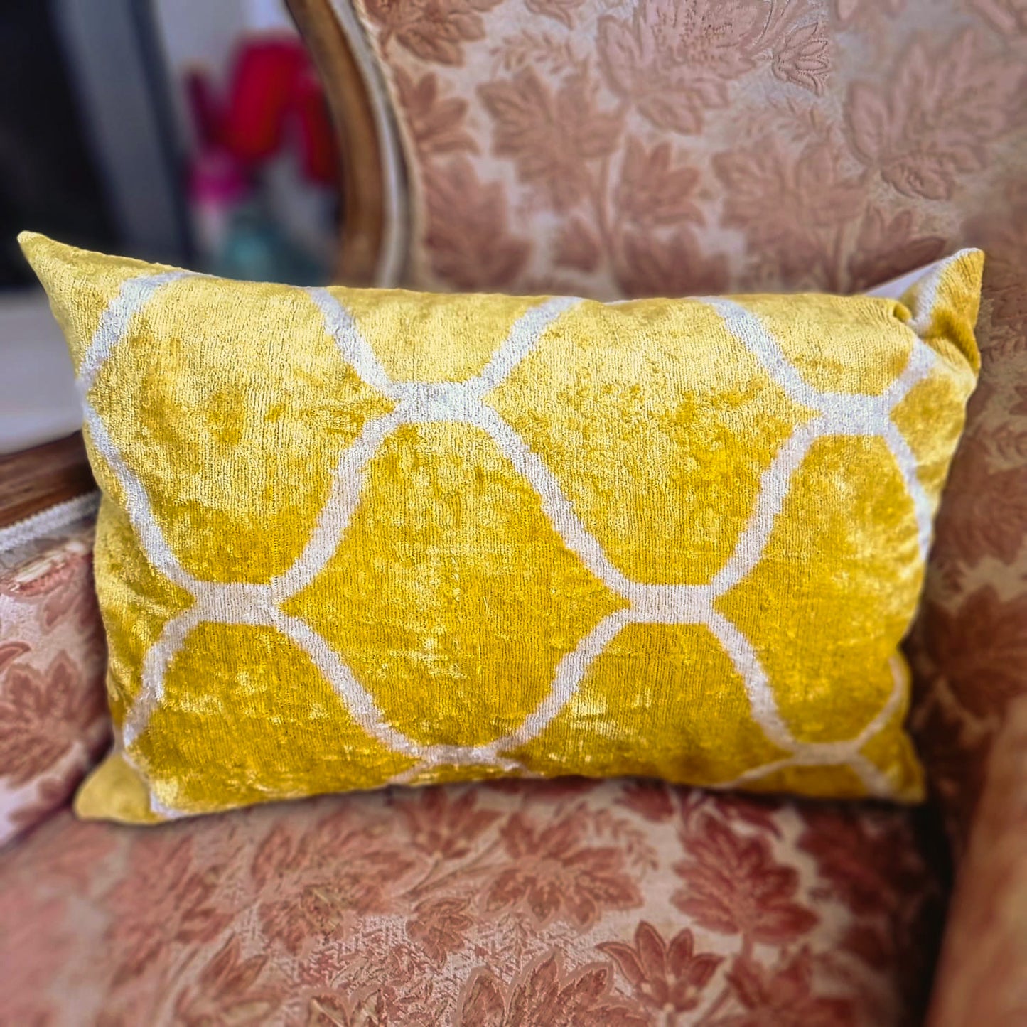 Silk Ikat Velvet Cushion Cover