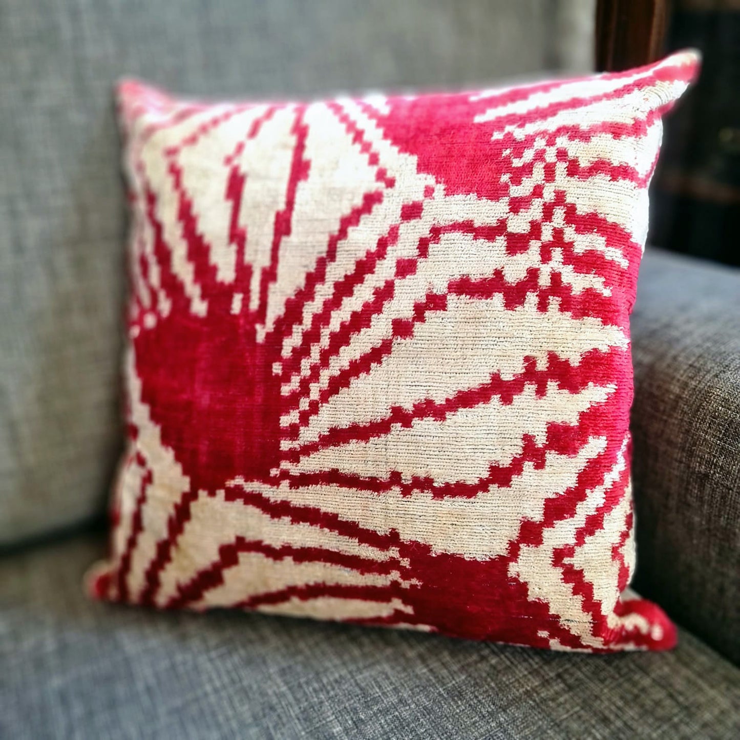 Silk Ikat Velvet Cushion Cover